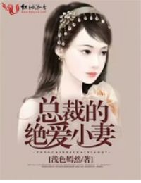 总裁的绝爱小妻