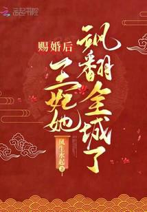 赐婚后王妃她飒翻全城了