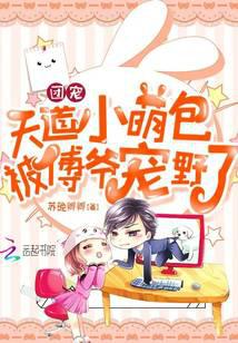 团宠天道小萌包被傅爷宠野了