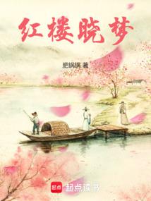 红楼窃玉