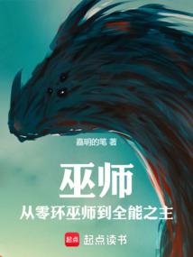 巫师之上
