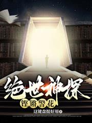 绝世神探，鏗鏘警花