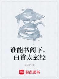 谁能书阁下，白首太玄经