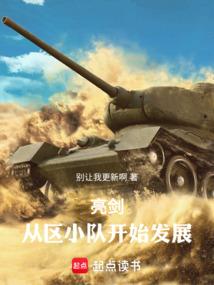 亮剑:从晋西北到长津湖百战百胜